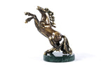 Handmade Bronze and Marble Stubborn Horse Sculpture - photo 3