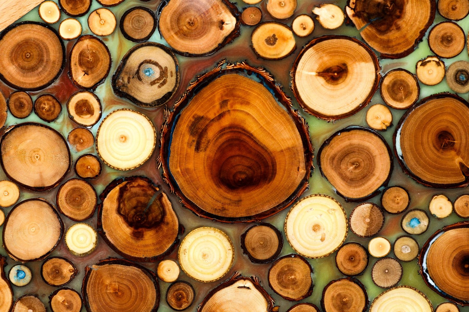 Backgammon With Tree Branch Slices And Epoxy Two-Sided Classic Turquoise - HrachyaOhanyan Co